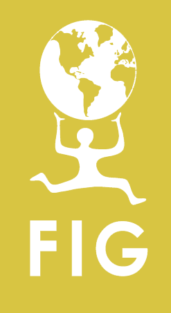 FIG